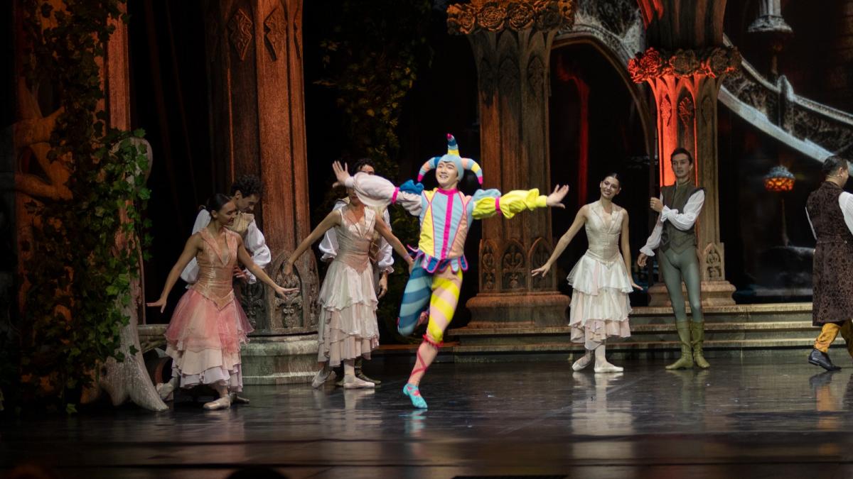 „Dansul pașilor de catifea”, festivalul care aduce incluziunea și diversitatea pe scena Operei Comice pentru Copii (1)