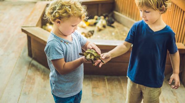 Copiii „hoți”. Ce să faci dacă descoperi că micuțul tău ia lucruri care nu-i aparțin?