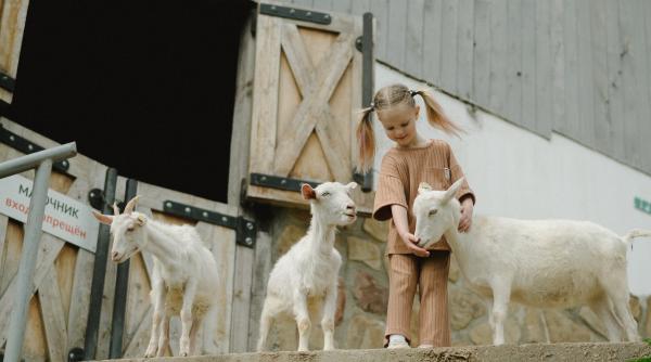 Zoofobia: Cum să îi ajuți pe copii să nu se teamă de animale