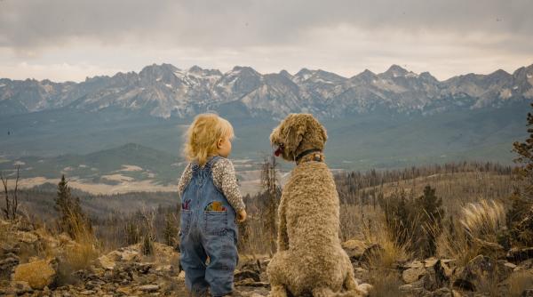 (VIDEO) Câinele de familie alertează părinții cu privire la abuzurile suferite de copilul lor 