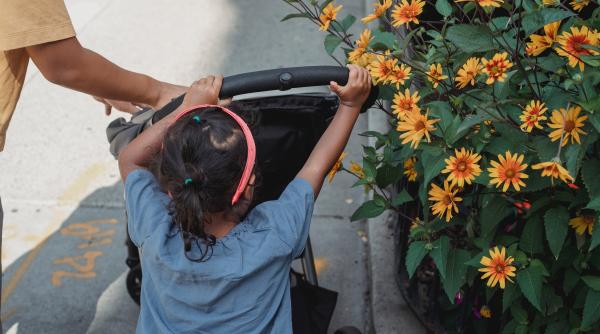 Atenție mămici! A fost adoptată o nouă lege: Acces cu prioritate pentru femei gravide / persoane însoţite de copii cu vârsta de până la 5 ani