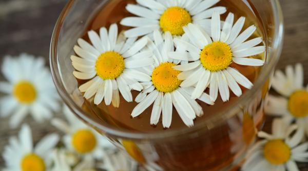 Spune ”NU” ceaiului de mușețel la bebeluși: Ar putea face mai mult rău decât bine