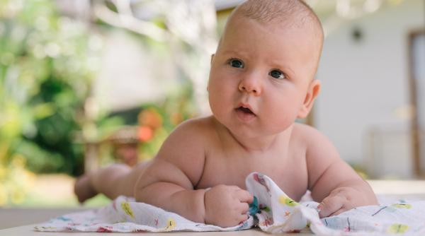 Târâtul este important pentru viitorul succes școlar al copilului dumneavoastră. Iată de ce