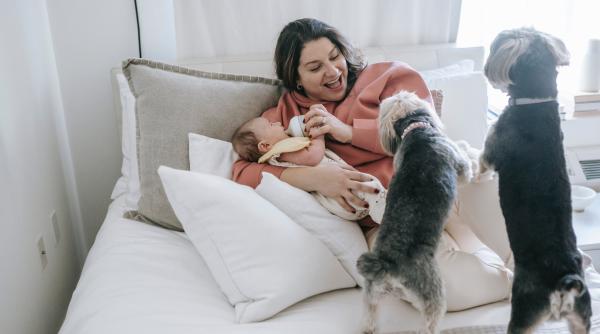 Cum să-ți pregătești animalul de companie pentru sosirea unui copil