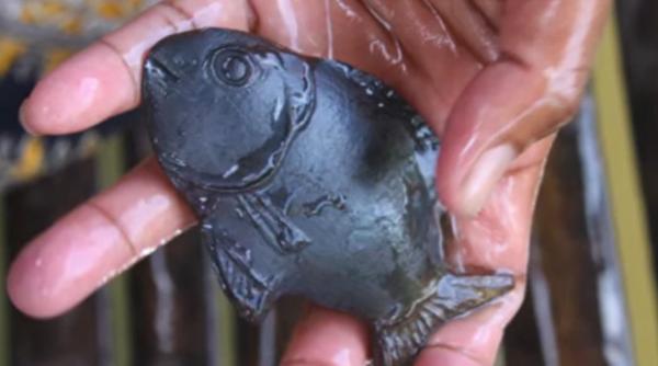 Peștele de fier: O invenție care salvează viețile a mii de copii 