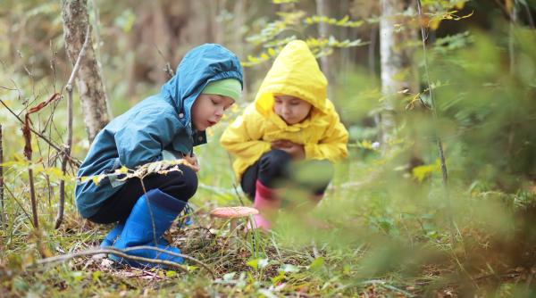 „Pediatrii ar trebui să prescrie mai multă natură copiilor”: Doar 1 din 4 copii au activități în aer liber. DCN devine o problemă tot mai serioasă în lume