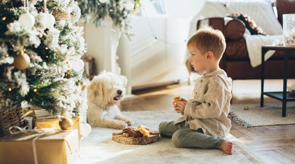 Copilul își dorește de Crăciun un câine sau o pisică? Ar trebui să te gândești de două ori