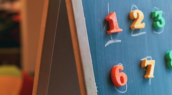 Doi părinţi români, care au ales să-şi educe acasă toţi cei patru copii de vârstă şcolară, condamnați la 4 luni de închisoare