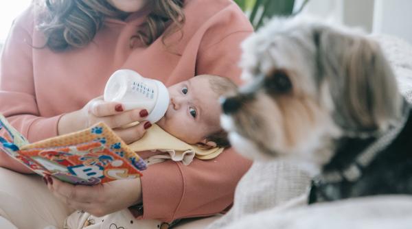 Ce să faci dacă un copil vărsă pe gură și pe nas: Ar trebui să fii îngrijorat?