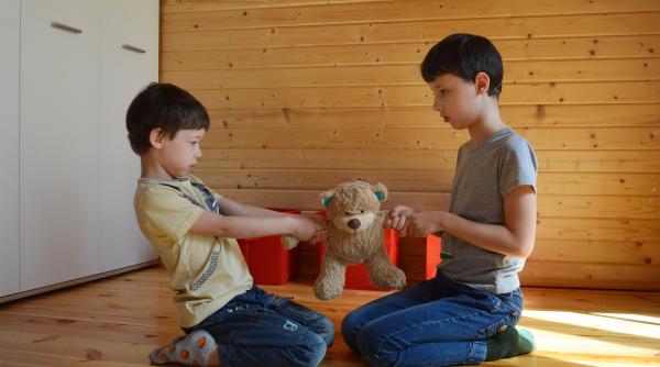 Câteva sfaturi utile pentru a evita certurile între frați