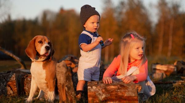 Rasele de câini cele mai bune pentru a fi cu copiii: Unele sunt extrem de răbdătoare, altele adoră să se joace și câteva au un instinct natural de protejare a micuților