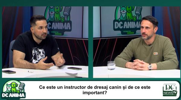  Robert Caraman dezvăluie secretele dresajului canin de succes la DC Anima