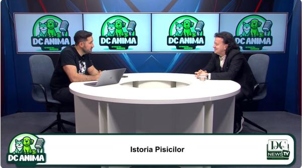 Adrian Dragotă, expert în lumea pisicilor, dezvăluie mituri despre feline / VIDEO