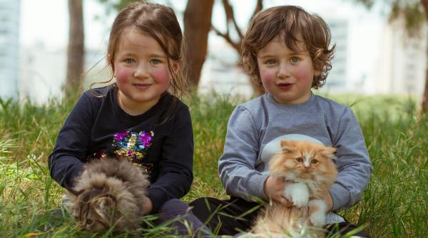 ”Alergia la părul de pisică nu există”: Mituri demontate de către specialistul Adrian Dragotă