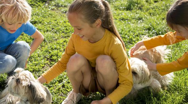 Care sunt cele mai potrivite animale de companie pentru copii?