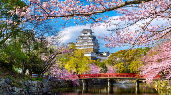 Creștere istorică a turismului în Japonia: ce implică acest lucru pentru economia și societatea niponă