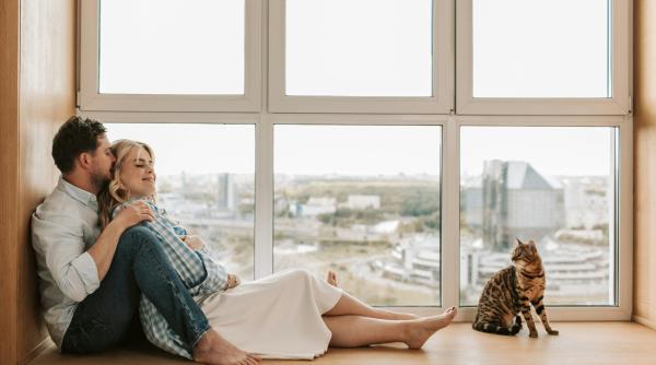 Curiozitate: Pisicile pot detecta o sarcină înaintea oricărui test 