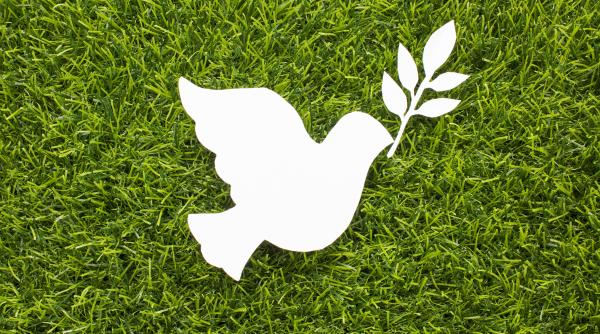 16 mai - Ziua internaţională pentru convieţuirea paşnică 