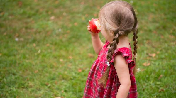 Țara în care creșterea unui copil costă cel mai mult, conform unui studiu