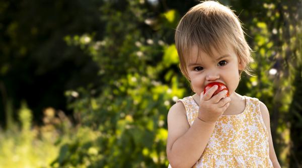 Comportamentul unui copil poate fi îmbunătățit prin alimentație? Specialiștii spun că DA!