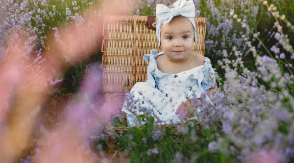 Beneficiile lavandei asupra copiilor: 5 moduri simple și sigure de a le folosi pe care probabil nu le știți