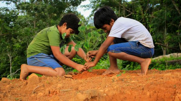 Copiii care se joacă în noroi și nisip devin adulţi mai sănătoşi, conform studiilor