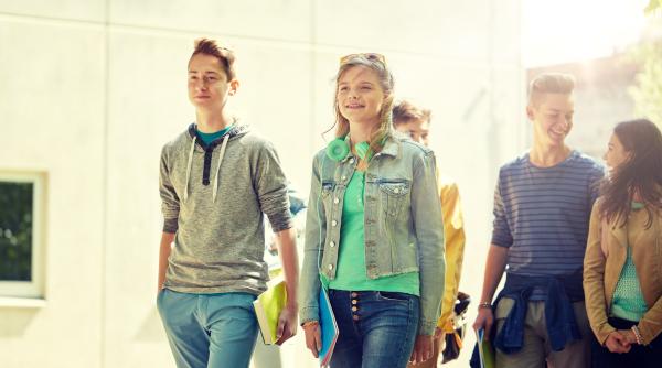 Domeniile pe care elevii români doresc să le urmeze la facultate: Informatica NU mai este în top!