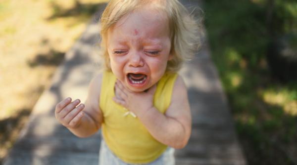 Why does a child resort to tantrums? The truth behind emotional outbursts. Violeta Mihalașcu: "The little one is smart enough to see what works!"