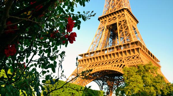  7 lucruri pe care le poți învăța din serialul „Emily la Paris” atunci când te muți într-o altă țară și nu știi limba