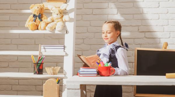 Creștere alarmantă a numărului de elevi cu mai puțin de 10 cărți acasă! Bibliotecile de acasă ale școlarilor sunt tot mai goale