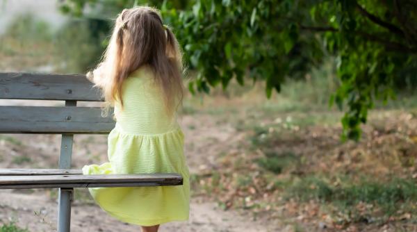 Prințul Harry, psihologul Jonathan Haidt și Universitatea Harvard sunt de acord că acest lucru este dăunător copiilor: „Fură copilăria noilor generații”