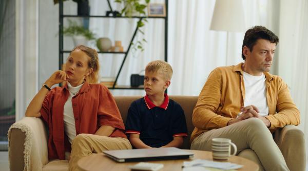 Ce este teoria stresului familial?