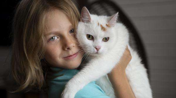 Curiozitate: Pisicile învață cuvintele mai rapid decât copiii 