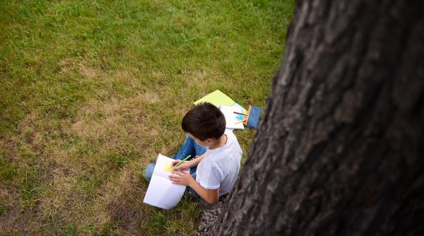 Testul „Arborelui”. Descoperă aspecte ascunse ale personalității copiilor prin acest instrument utilizat pe scară largă în psihologie