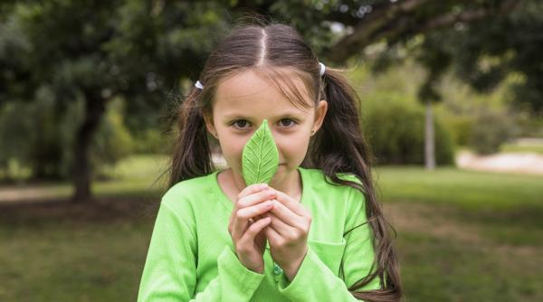 Probleme de memorie la copii: Un studiu arată că principala cauză ar fi aerul