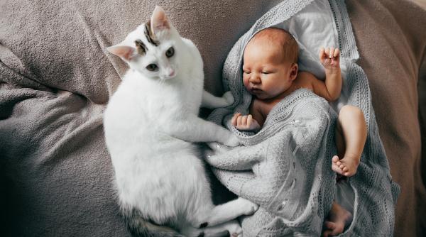 Nou-născut și animal de companie? Cum să faci față provocărilor!