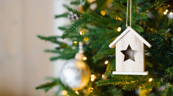 Când se despodobește bradul? Tradiții și superstiții!