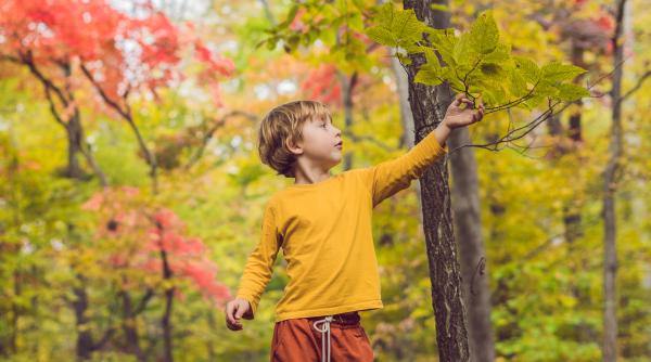 Ce parte din comportamentul copilului este moștenită și ce este învățată? Crcetători: „Este una dintre cele mai vechi controverse în știință”