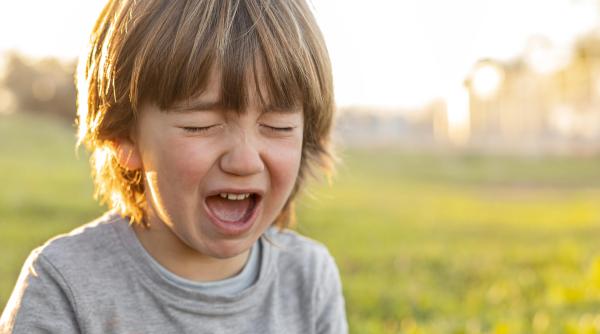 Cea mai importantă lecție de viață pentru copilul tău! De ce este esențial să simtă frustrarea? Psiholog: „E vitală pentru educația lui!”