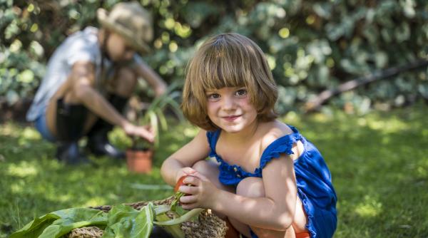 Un fost decan la Stanford explică cel mai simplu lucru pe care părinții îl pot face pentru a asigura succesul copiilor lor