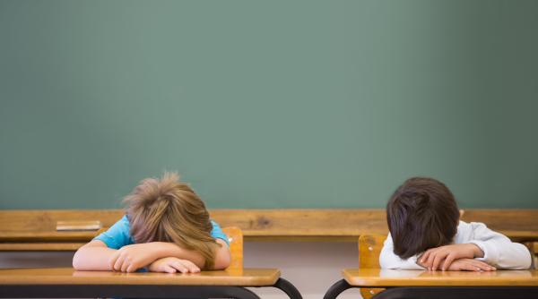 Ministrul Daniel David: „Să nu ne transformăm copiii în hamali care să poarte cursuri peste cursuri, ore peste ore, discipline peste discipline”