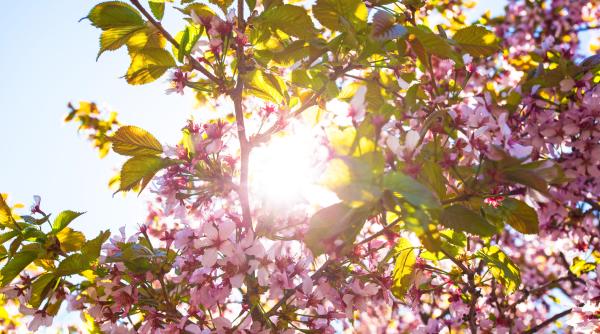 Cum va fi vremea de Paști