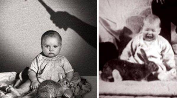 Micul Albert – Experimentul care a speriat lumea psihologie