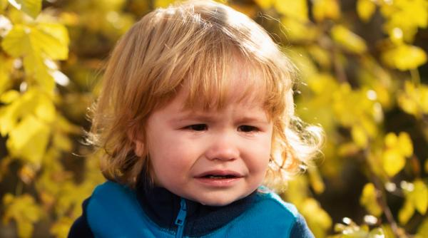 Cele 5 comportamente pe care mulți părinți le confundă cu „obrăznicie”, dar care ascund nevoia copilului de conectare. Explicația științifică a unui expert