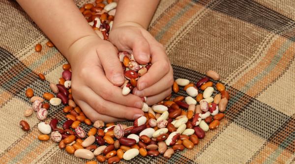 Un pediatru atrage atenția: fasolea este una dintre cele mai sănătoase opțiuni pentru copii, dar e prea puțin folosită în alimentația zilnică