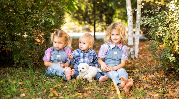 Copilul cu cele mai mari șanse de succes, potrivit studiilor. Cine este, de fapt, cel mai inteligent dintre frați