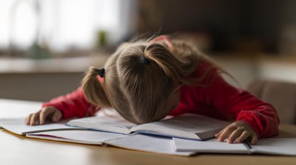 Ministrul Daniel David anunță limite clare pentru temele elevilor: Câte ore pe zi ar trebui să petreacă copiii din școlile primare, gimnaziale și liceale făcând teme?