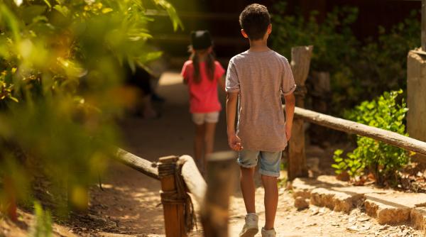 Doi frați din Arad au obținut un ordin de protecție împotriva ambilor părinți: „Erau ținuți departe de școală, înfometați și agresați în mod repetat”