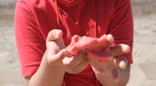 Pulpita de la piscină: O leziune cutanată foarte frecventă la copii vara. Ce este, cum o recunoști și ce poți face pentru a o preveni