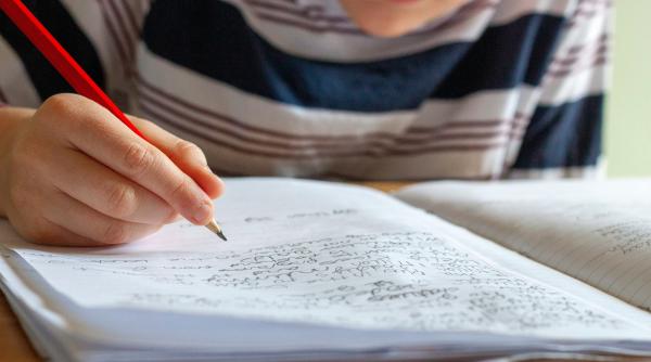 „Sunt învățătoare. Iată de ce cred că e important ca cei mici să lucreze puțin în vacanță!” Apel pentru toți părinții